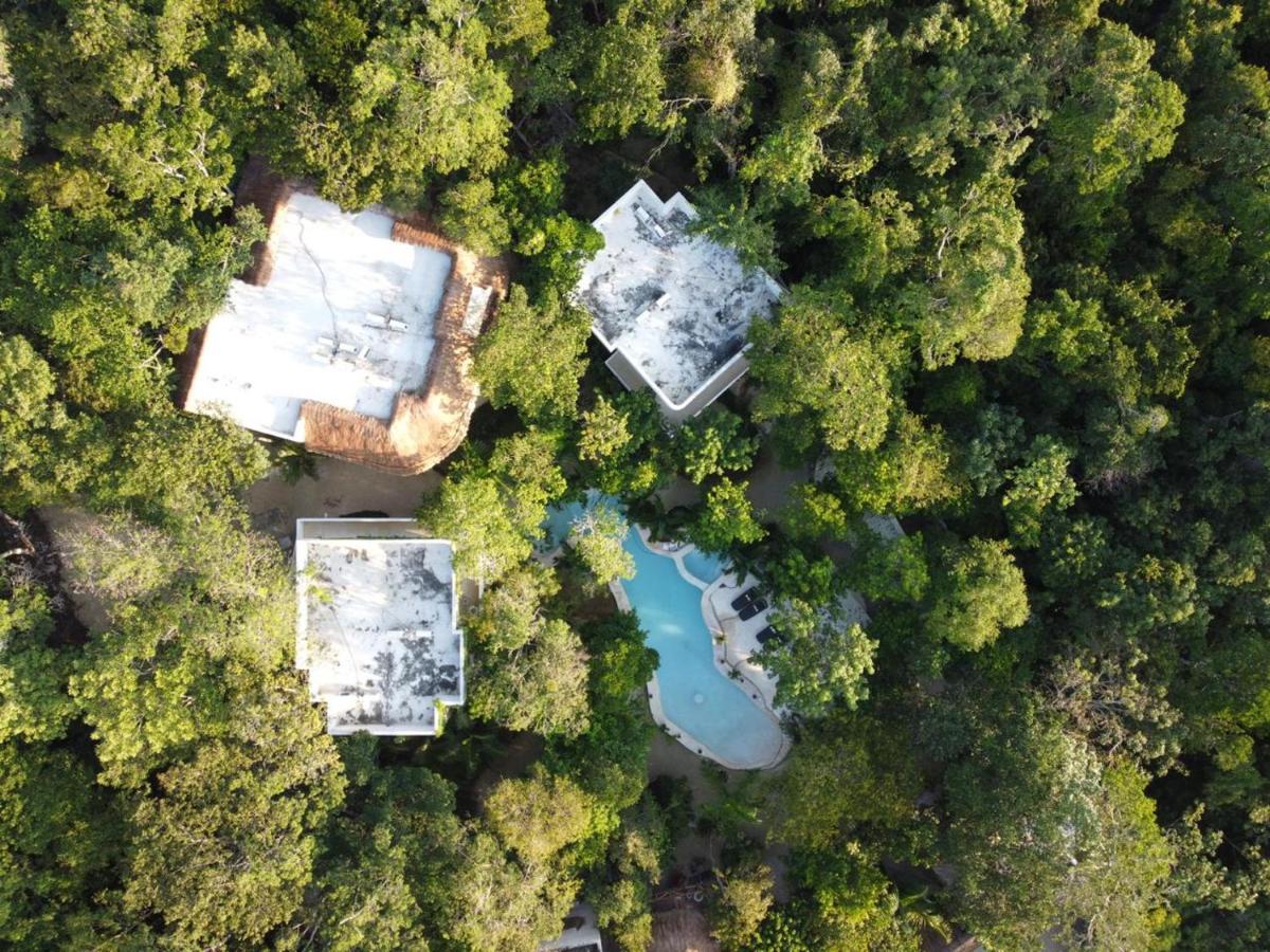 Cachito de Cielo Luxury Jungle Lodge Tulum Esterno foto